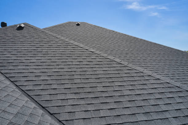 Best Roof Ventilation Installation  in Nogales, AZ