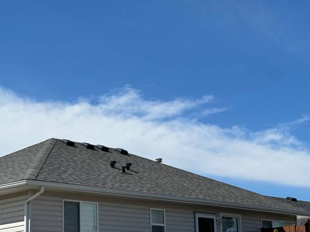 Best Gutter Installation and Repair  in Nogales, AZ